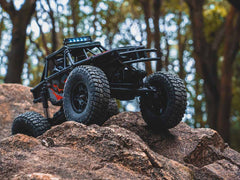 FMS 1:24 FCX24 Lemur RTR - RED - HeliDirect