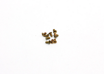 Reflex Racing Titanium M2x4 CS Screws (10pcs)