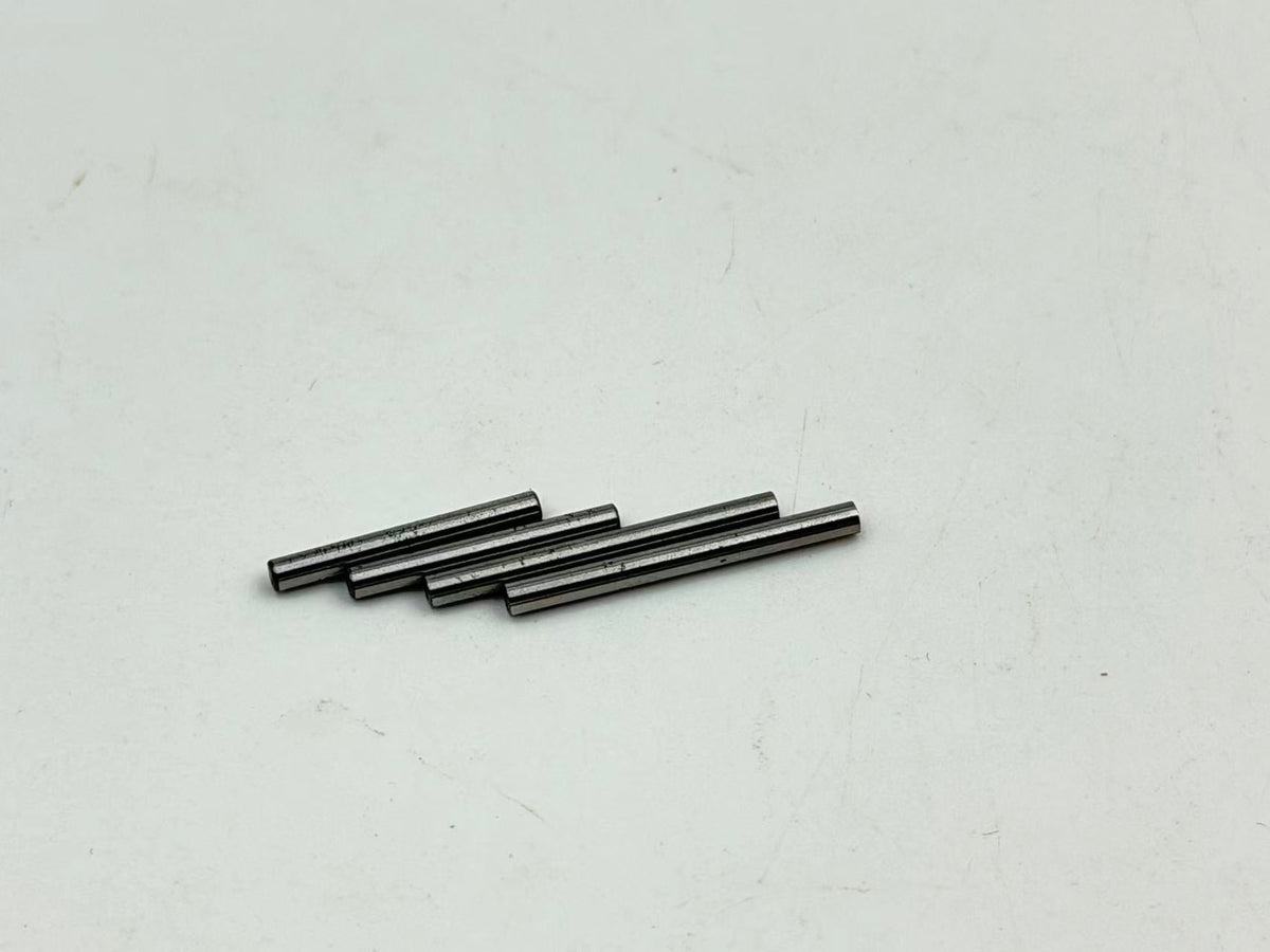 HobbyPlus Front / Rear Inner Hinge Pin Set - Speck B