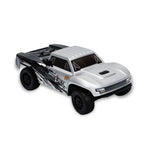 HobbyPlus 1:24 2WD SPECK-SCT Brushed