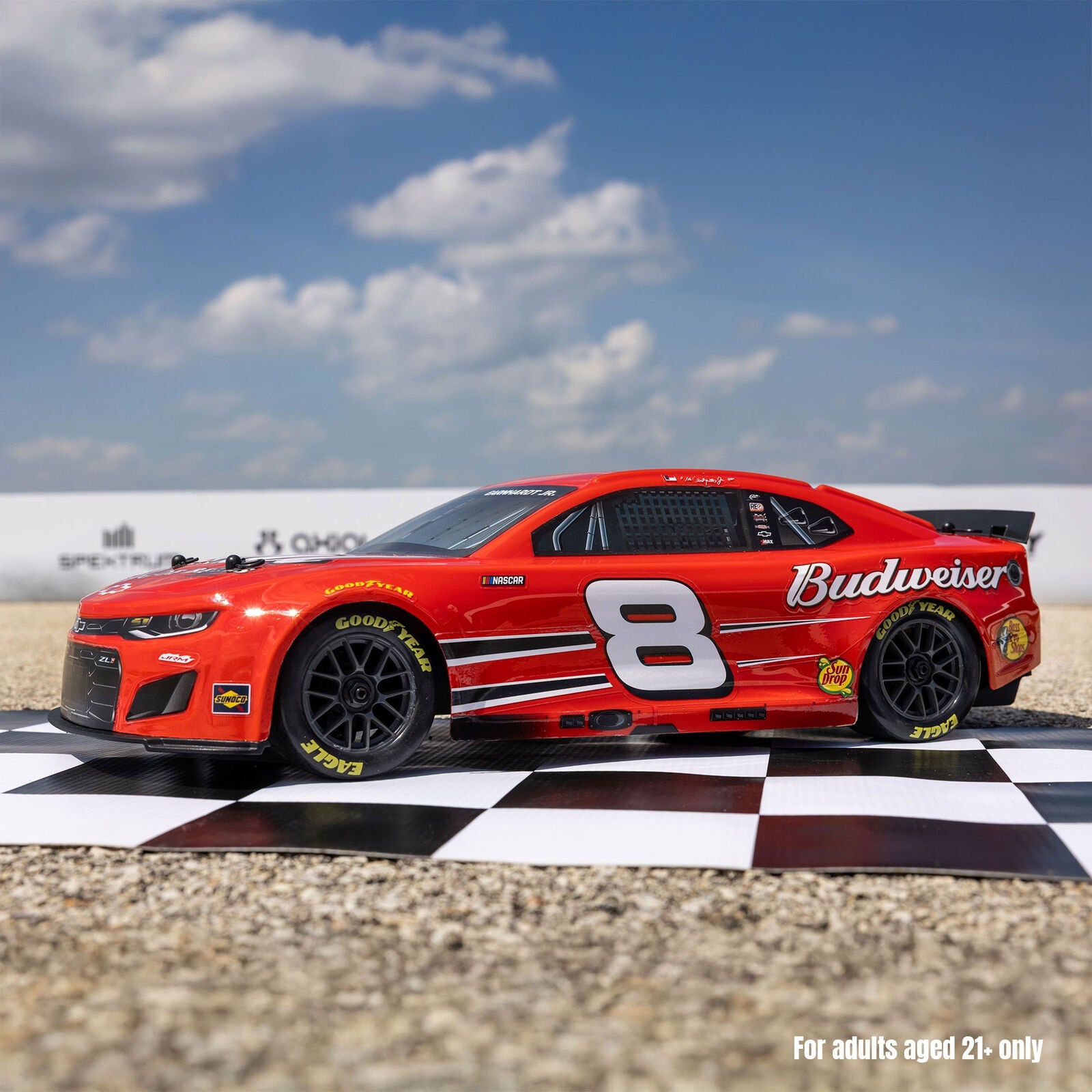 Losi 1/12 NASCAR Dale Earnhardt Jr. No. 8 Budweiser (Battery & Charger Included)