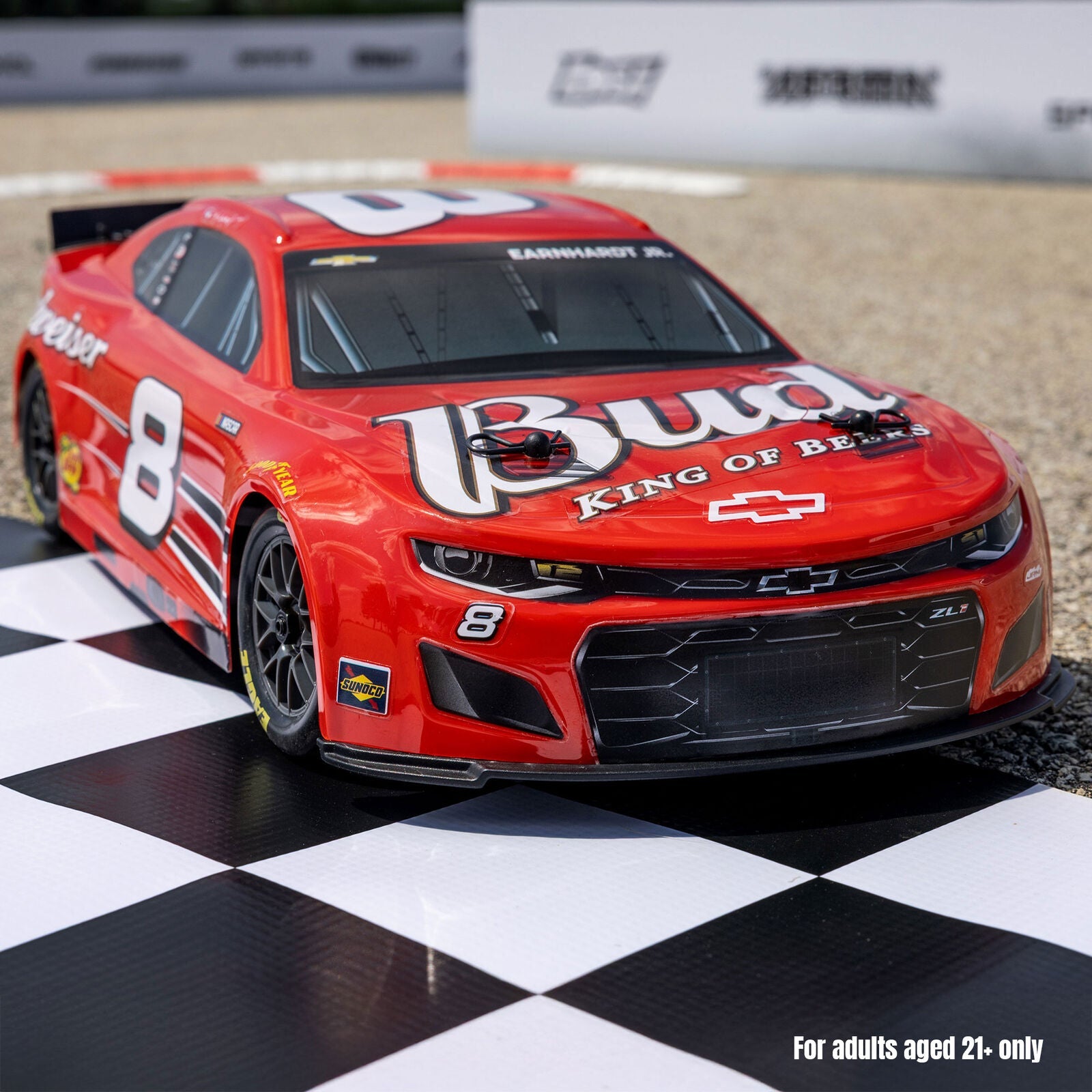 Losi 1/12 NASCAR Dale Earnhardt Jr. No. 8 Budweiser (Battery & Charger Included)