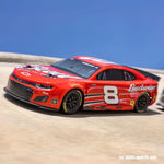 Losi 1/12 NASCAR Dale Earnhardt Jr. No. 8 Budweiser (Battery & Charger Included)