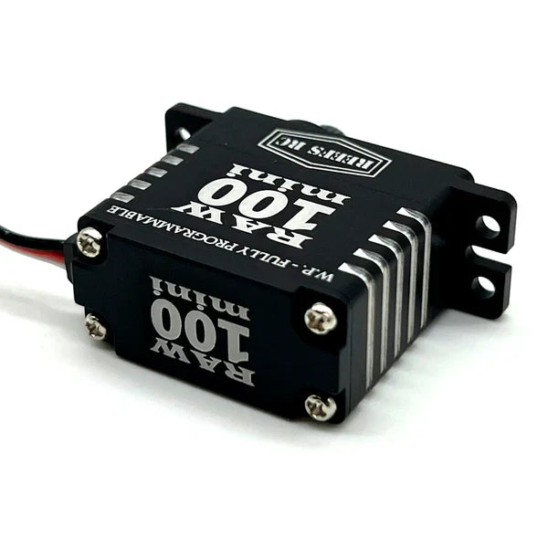 REEFS RC RAW100 MINI BLK - HeliDirect