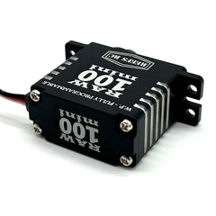 REEFS RC RAW100 MINI BLK - HeliDirect