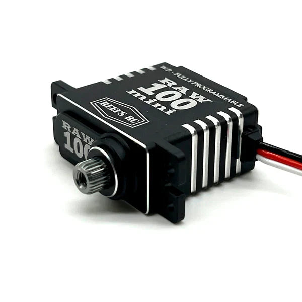 REEFS RC RAW100 MINI BLK - HeliDirect
